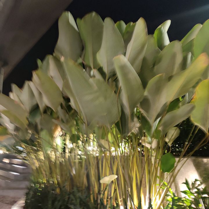 M💚