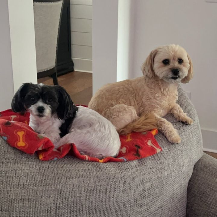 Radley and Sammie