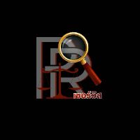 นักสืบวิชาชีพ บอยนักสืบ