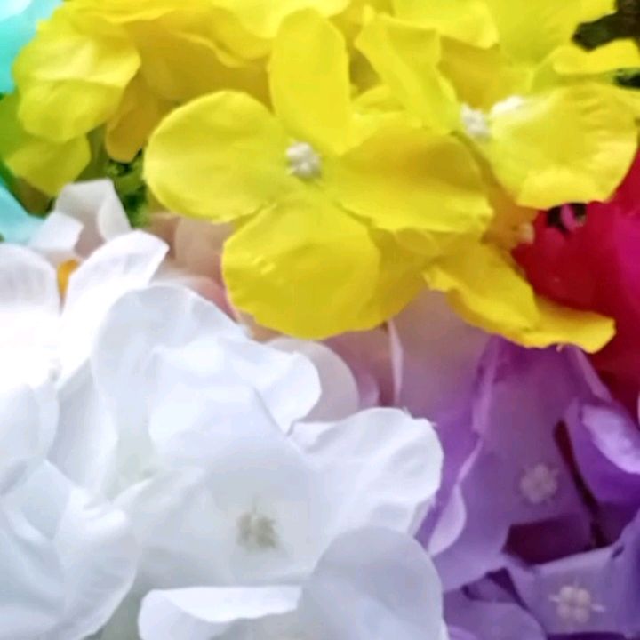 misyanierose