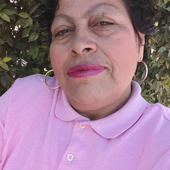 karina de sinaloa