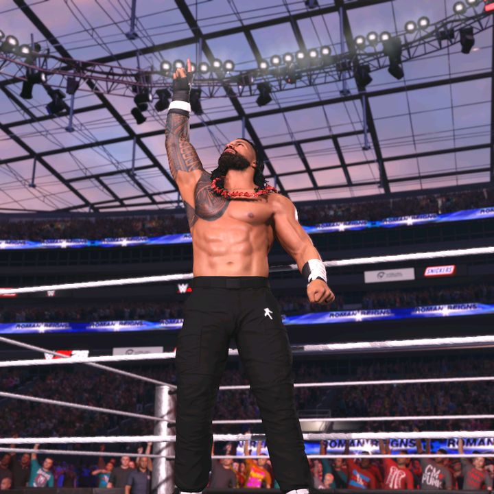Wrestling Fan