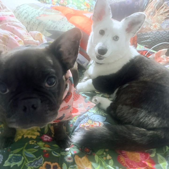 Juniper & Mayble’s Gems