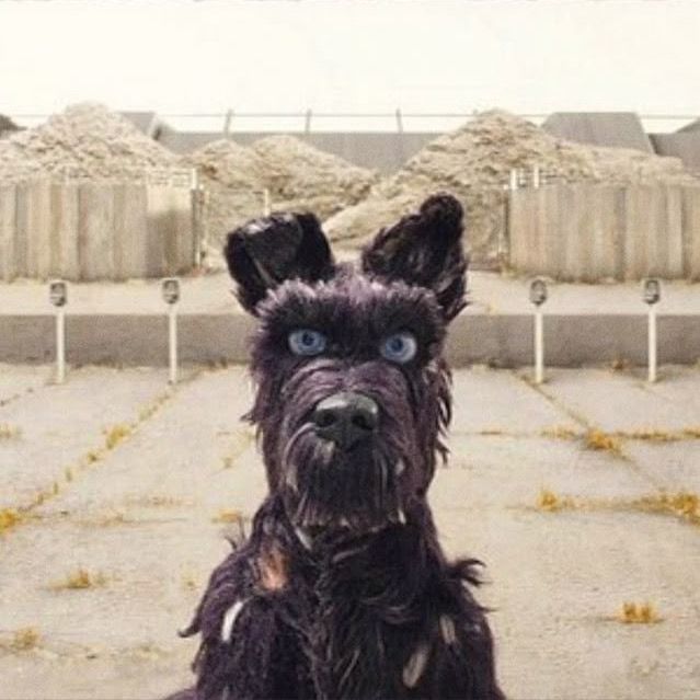 filmes em evidência