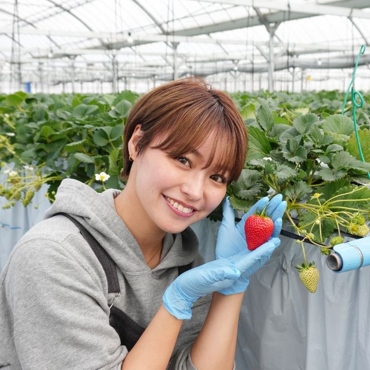 いちご農家🍓シンママが1年後に最高金賞を狙う