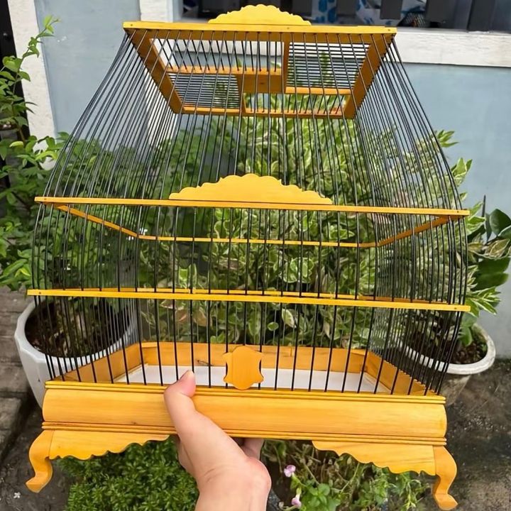 Thảo Phụ Kiện Cá Chim