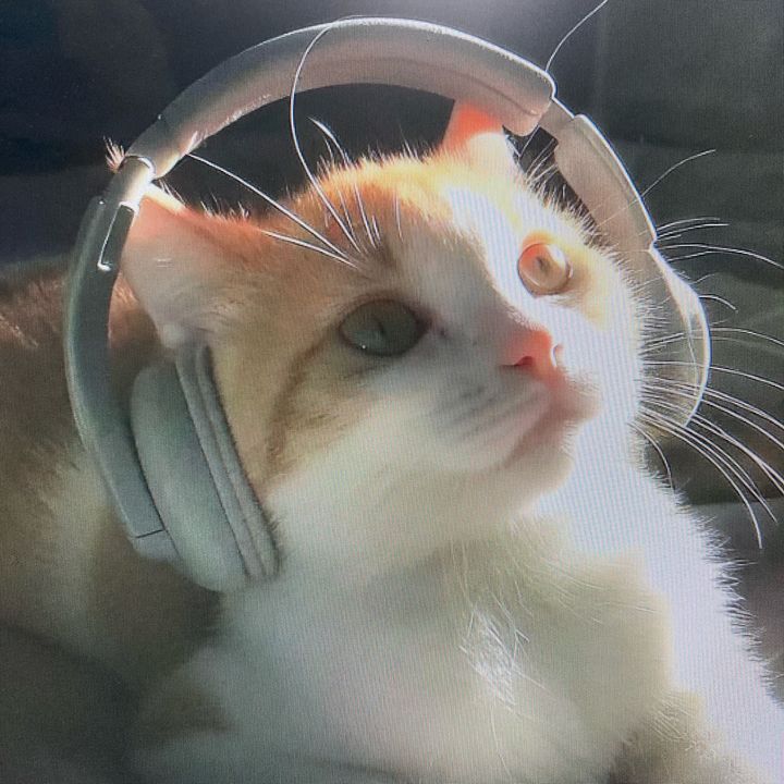 clblrnupqji