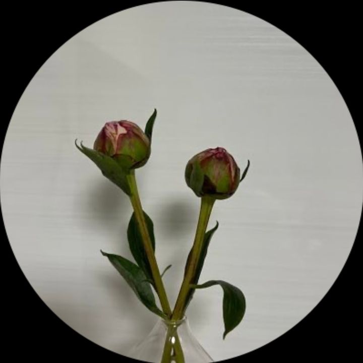 注射苦手