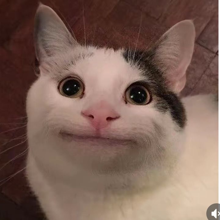 ftyhbrr