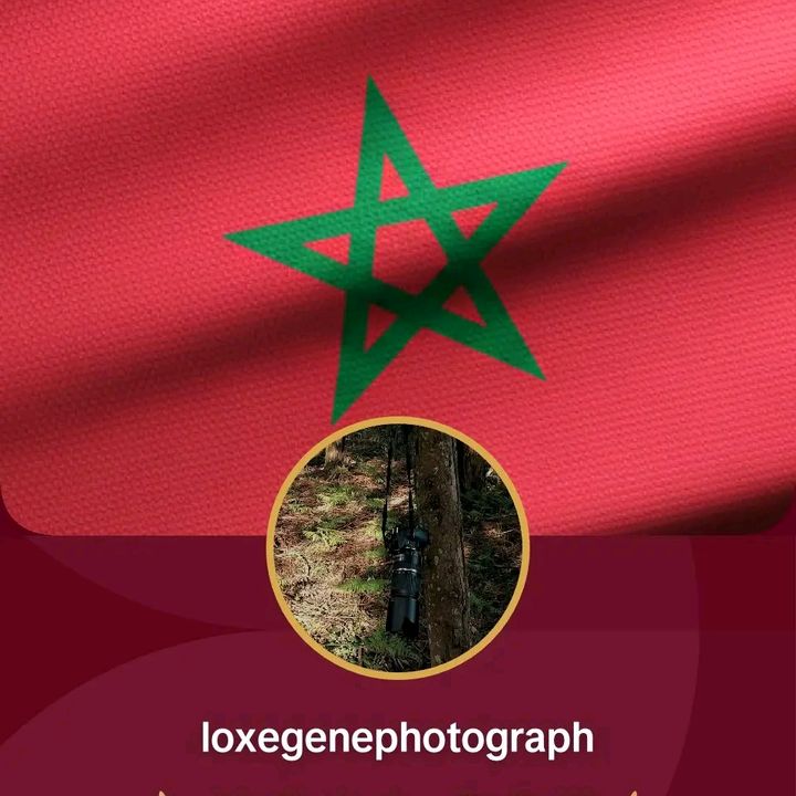 lemarocloxegenephotografy