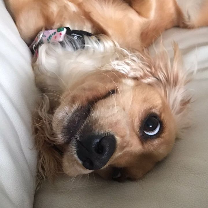 Holly and Lattes