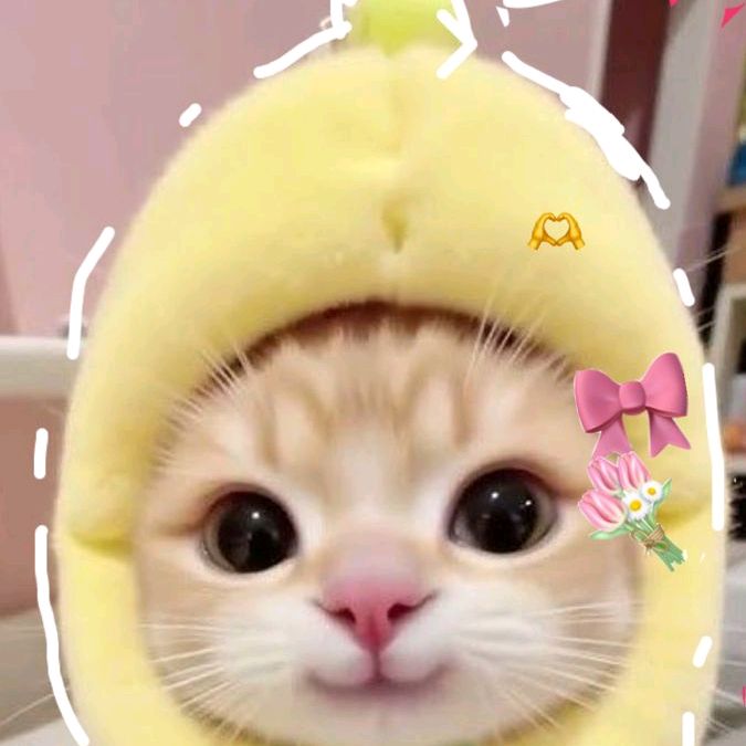 meoowsquish