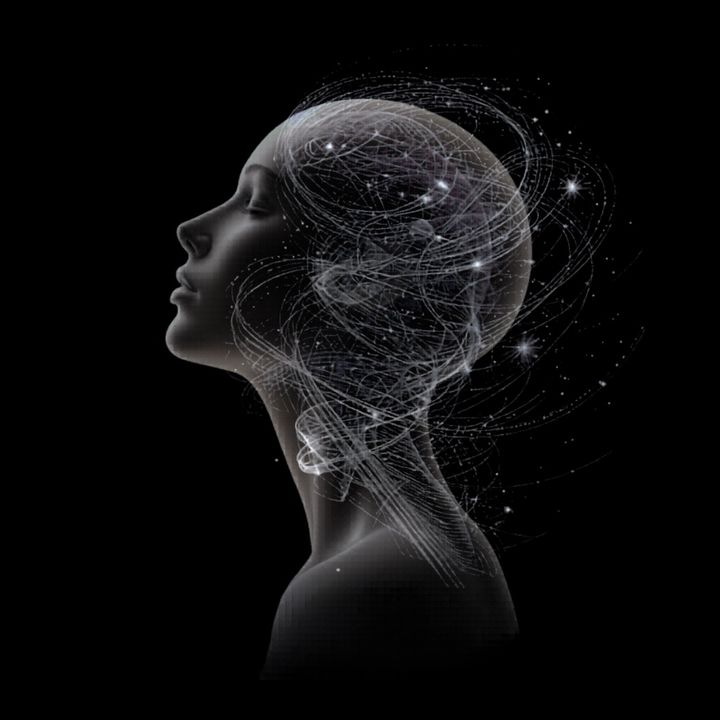 Reality— Rewired. by Liv