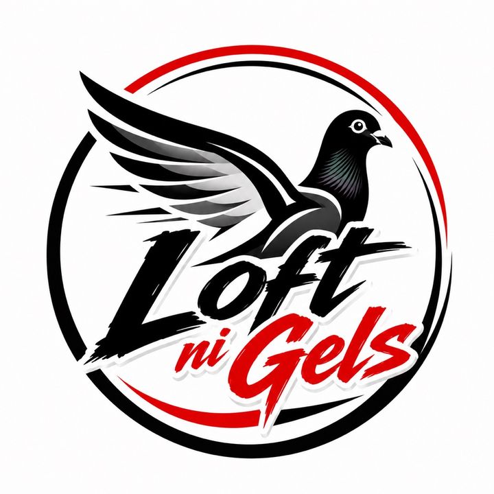 Loft ni Gels