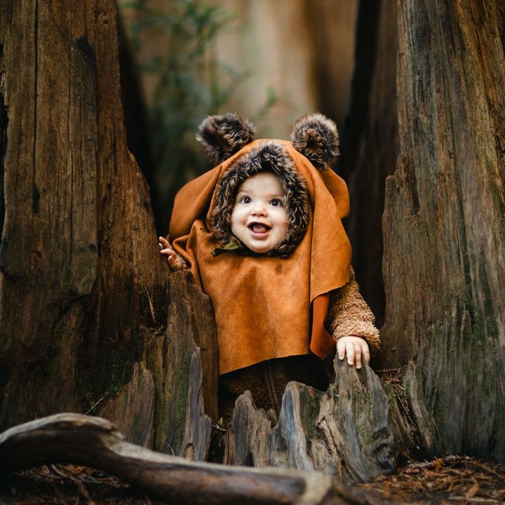 EwoksoftheShire