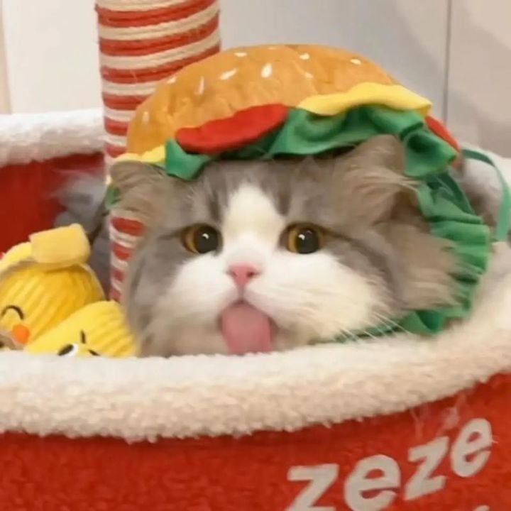 bqlxuclde6bfr2