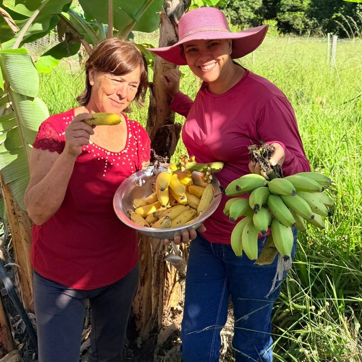Roça chique Shop