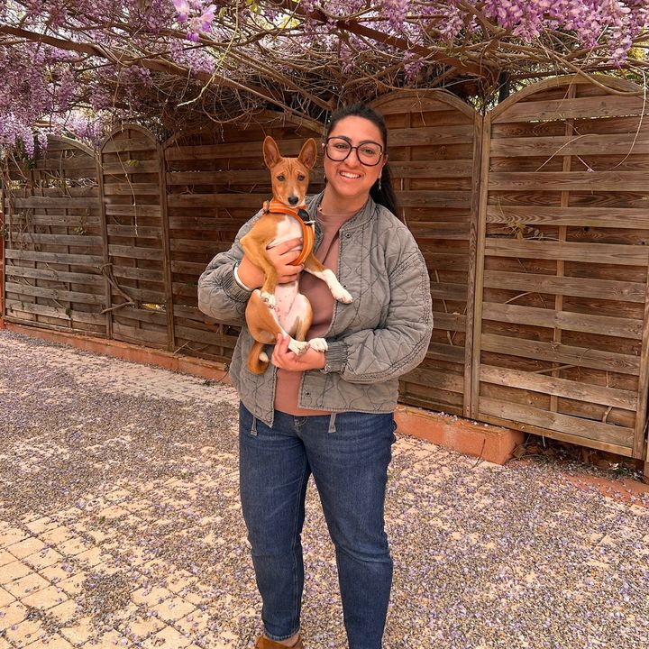 Baïa - Basenji