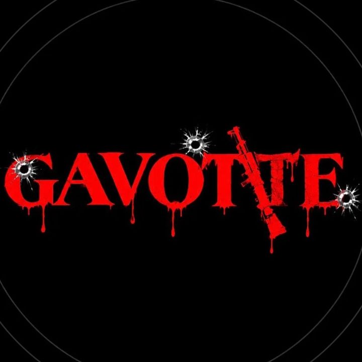 mehdigavotte.13