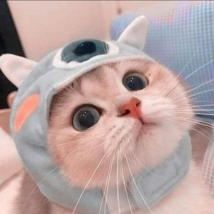 Net net là mặt trời nhỏ ☀️