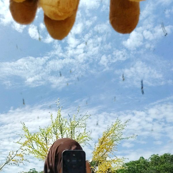 nurfie