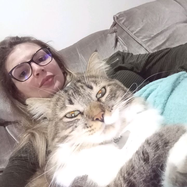 Vida de Gateira & Pets