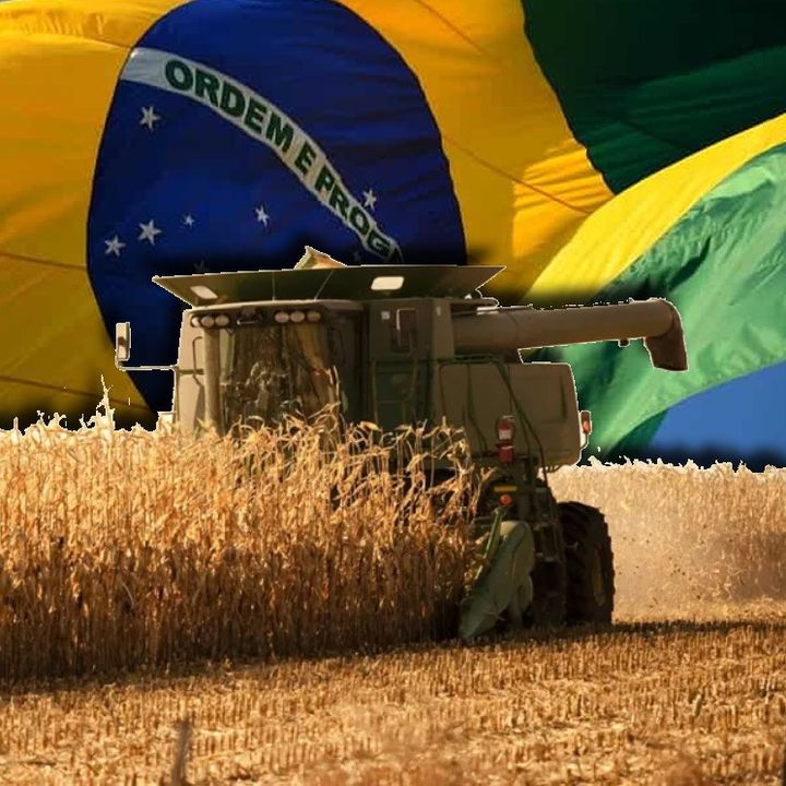 AGRO_premiumm