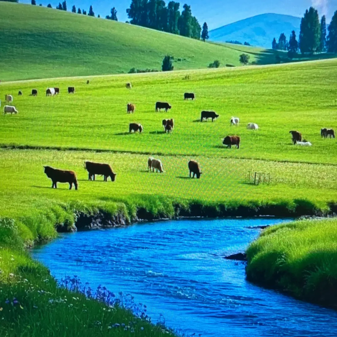 sakari