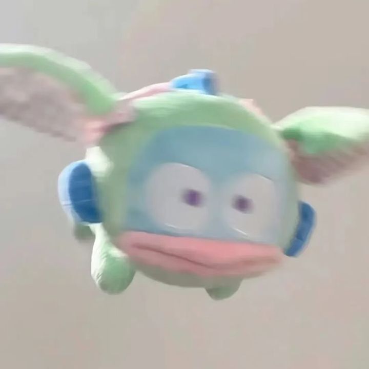 Zzdy