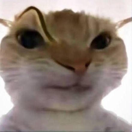 awognl604