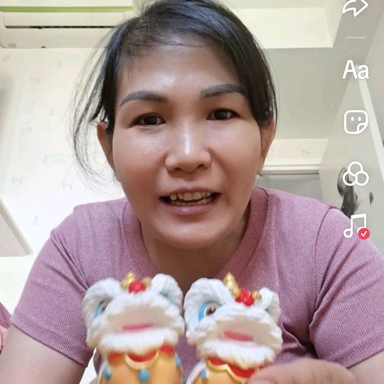 STOP.  MỘNG. CHÂM  ĐANG. XÀI