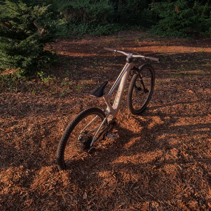 🌲freeride_carlo_🌲
