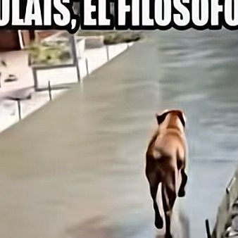 dldxdo4