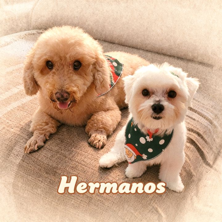 Hermanos