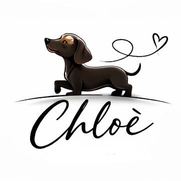 lifewithchloe_bassotta