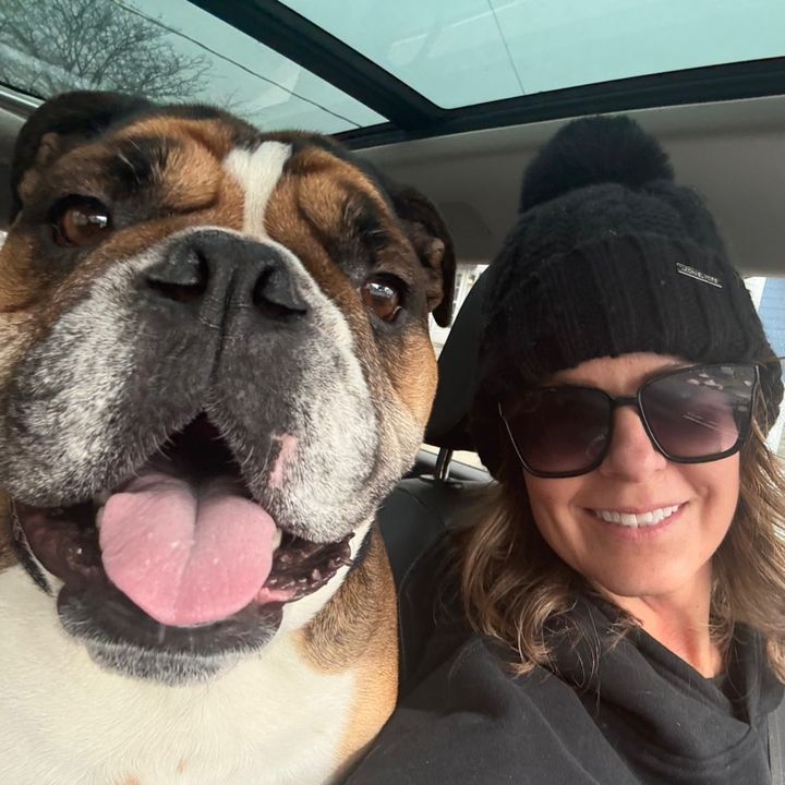 Birds & a Bulldog