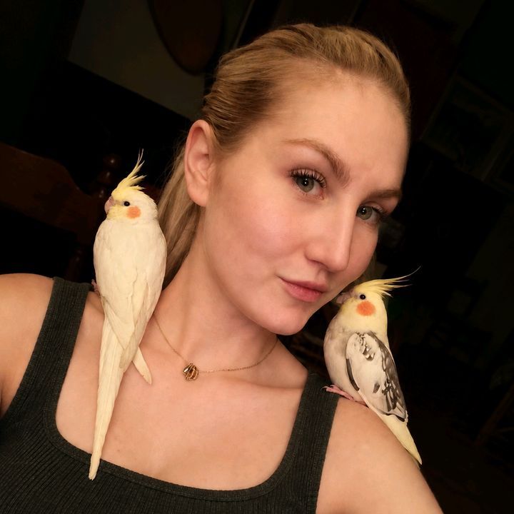 PiuminiDiCasa 🏡🐦