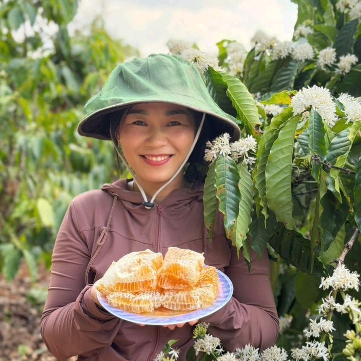 Hoàng Huệ