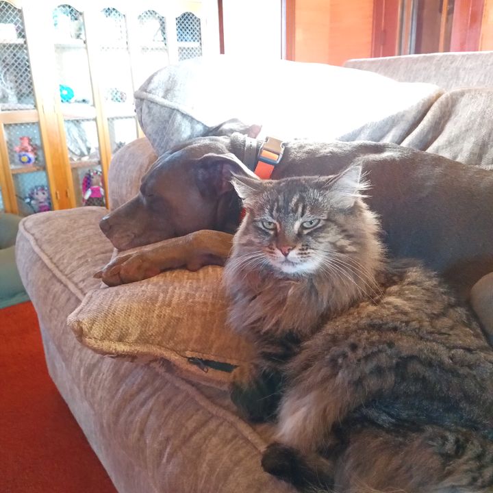 Fifi and Wiley