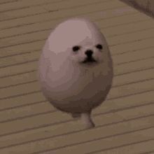 adamharb30