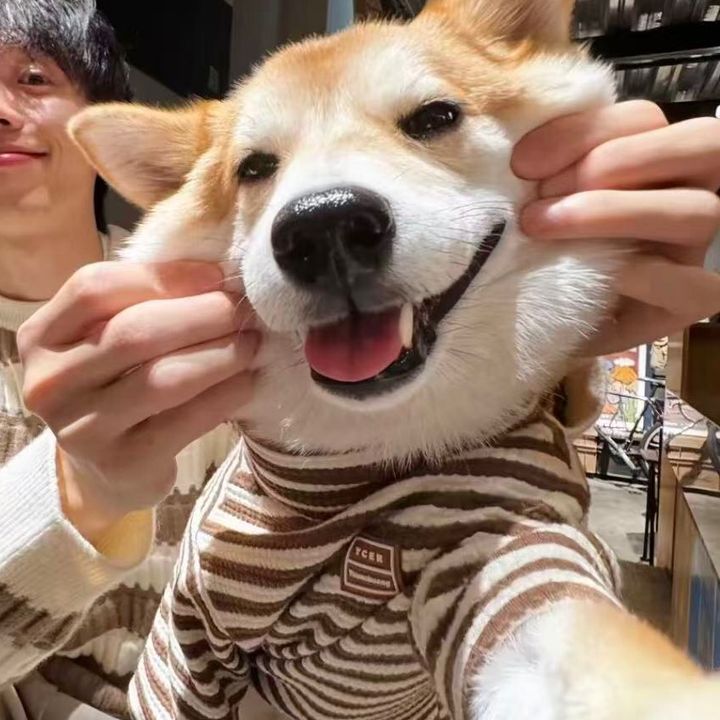 thsyxs88