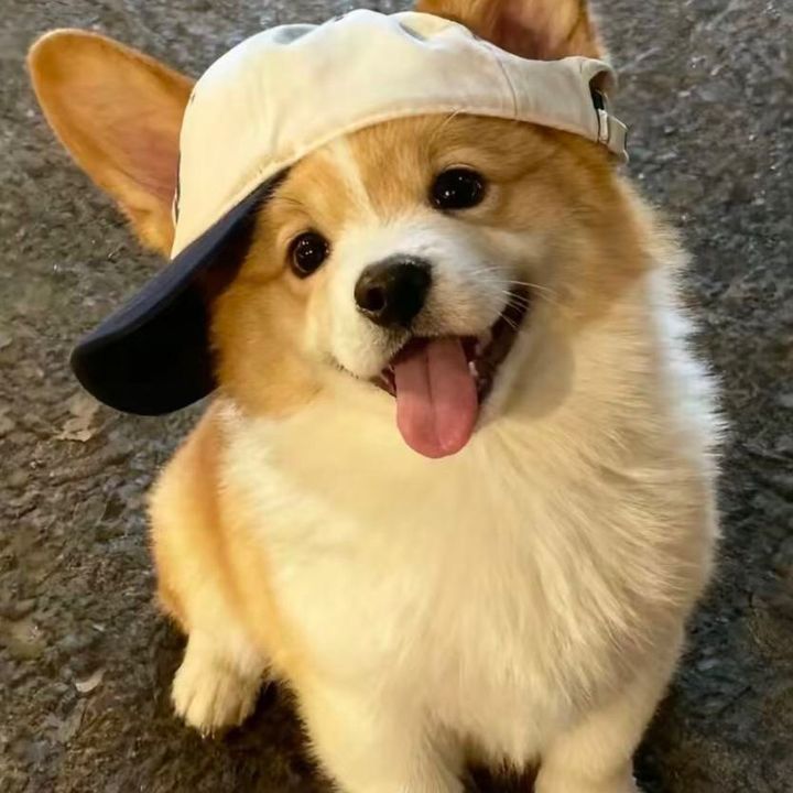 urdkeuga