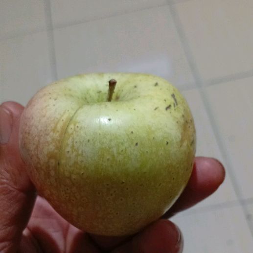 toko berkah