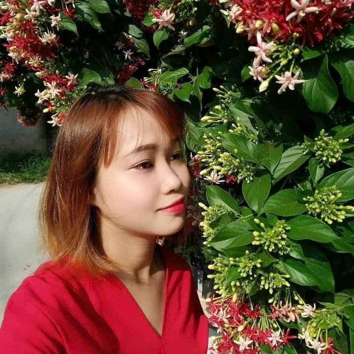Gấu Mặp