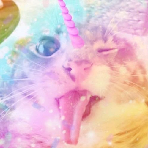 𝑙𝑎𝑙𝑢 🍡