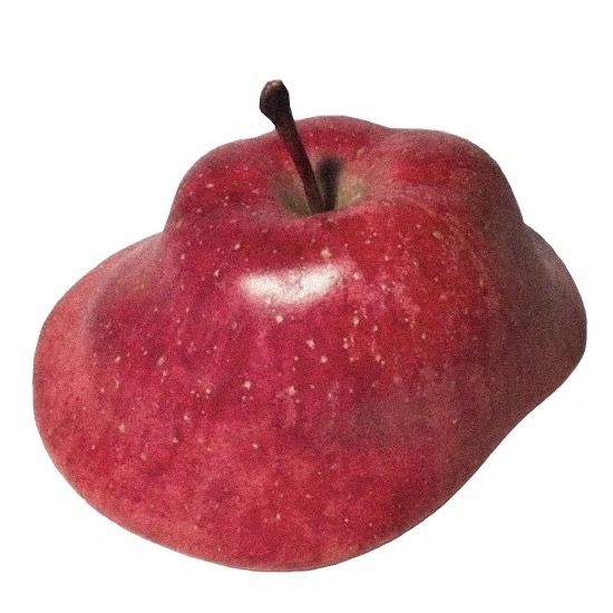 Appp
