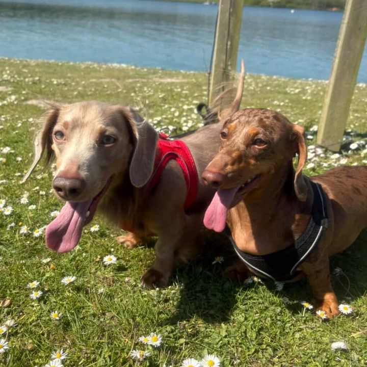 Rolo & Raya