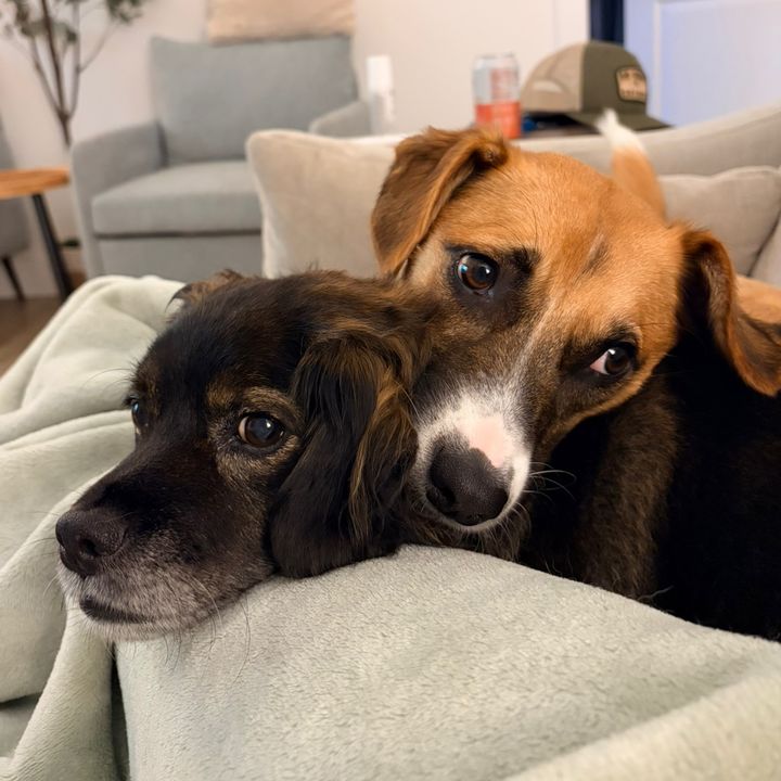Peyton & Ellie 🐾