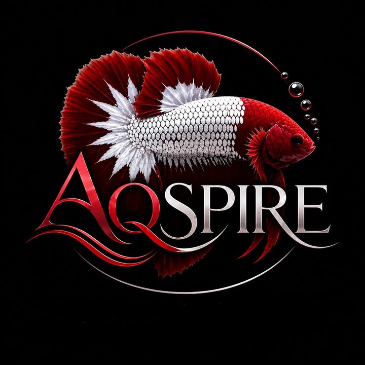 AQSPIRE