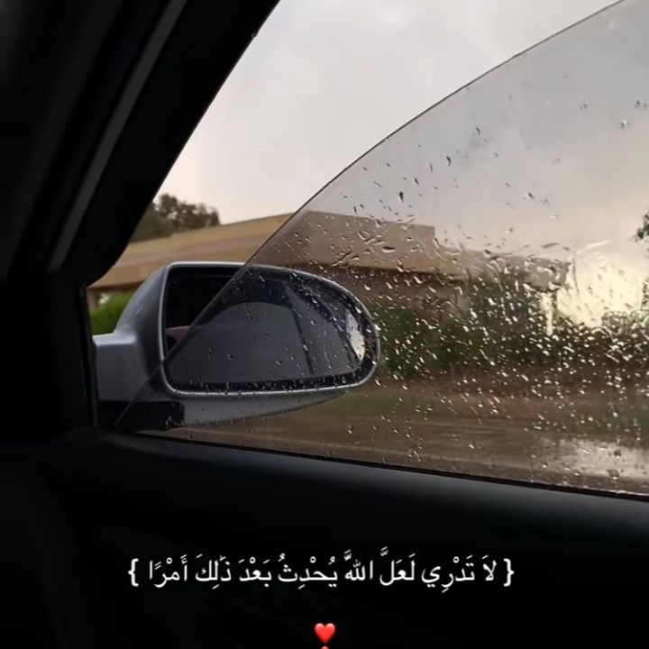 user8670074104100